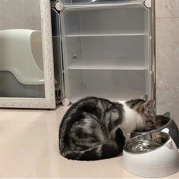 Pet Bowls Dog Food Water Feeder