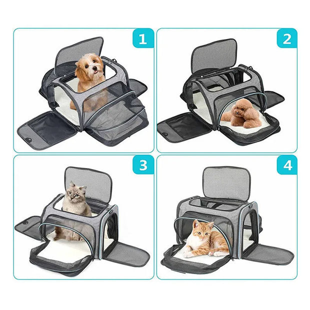 Transport Bag for Small Medium Pets