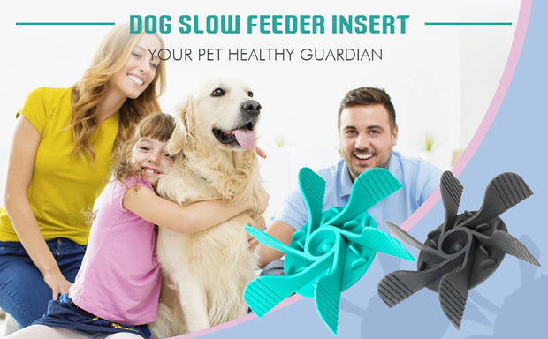 Convenient Clean Pet Feeder