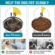 Convenient Clean Pet Feeder