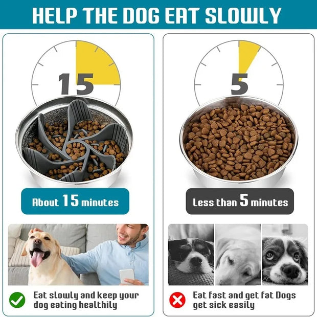 Convenient Clean Pet Feeder