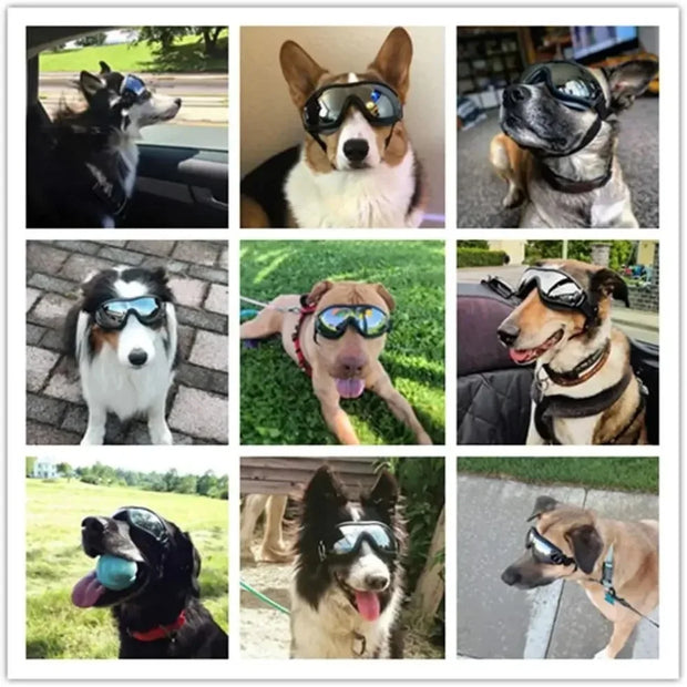 Pet Adjustable Dog Goggles Sunglasses