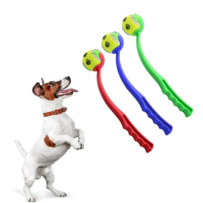 Dogs Training Pet Toys