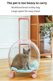 Portable Pet Carrier for Small