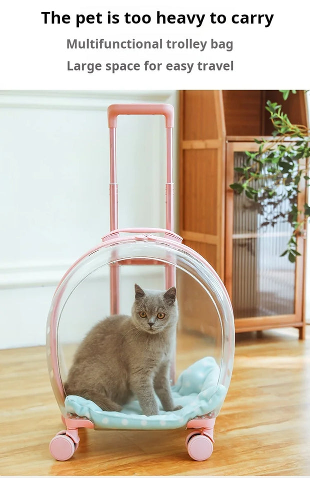 Portable Pet Carrier for Small
