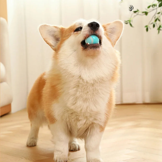 Auto Rolling Ball Puppy Toys