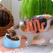 Pet Bowls Dog Food Water Feeder