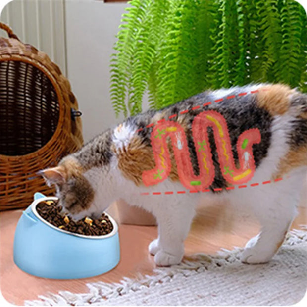 Pet Bowls Dog Food Water Feeder
