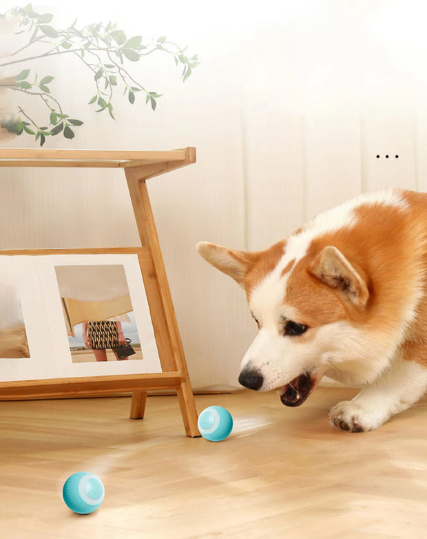 Auto Rolling Ball Puppy Toys