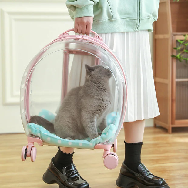 Portable Pet Carrier for Small