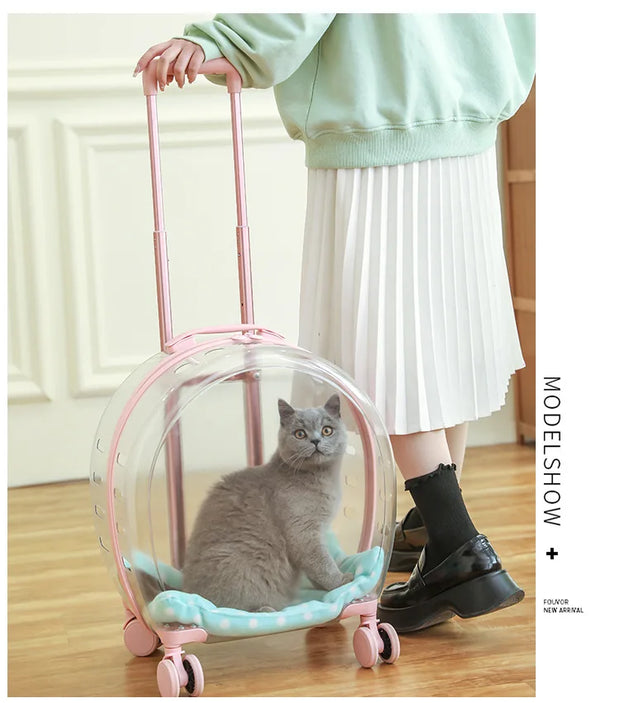 Portable Pet Carrier for Small