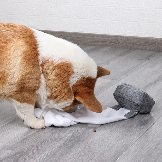 Interactive Treat Pet Toys