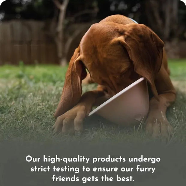 large dogs chewing toys