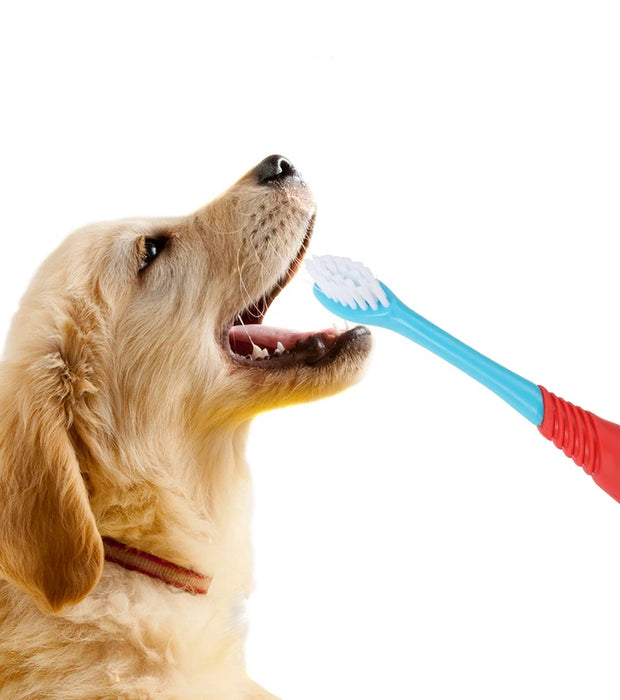 Pet Double Head Dog Toothbrush