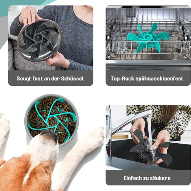 Convenient Clean Pet Feeder