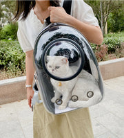 Backpacks Pet Cat Carrier