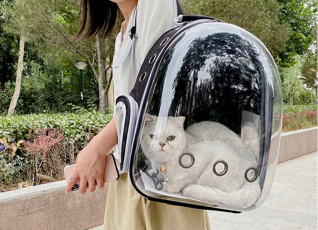 Backpacks Pet Cat Carrier