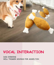 Dogs Teeth Grinding and Bite Resistant Interactive Toys Bone