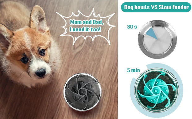 Convenient Clean Pet Feeder