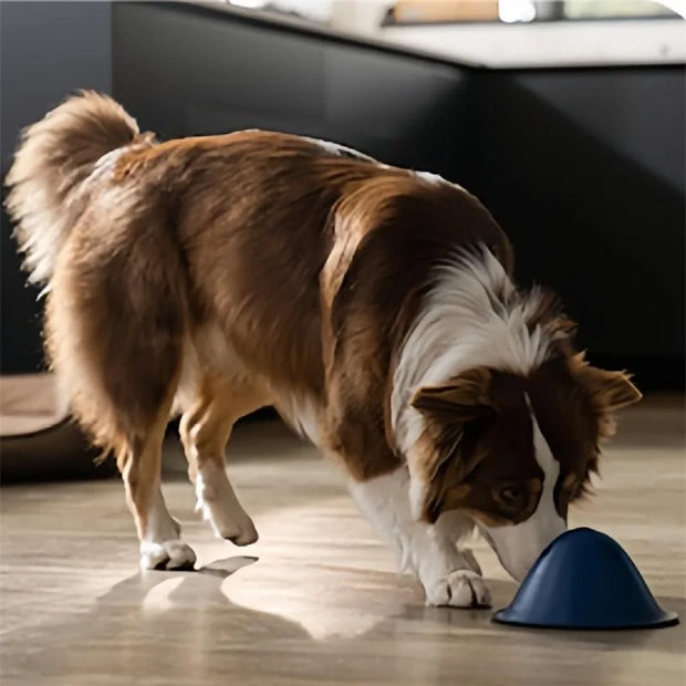 large dogs chewing toys