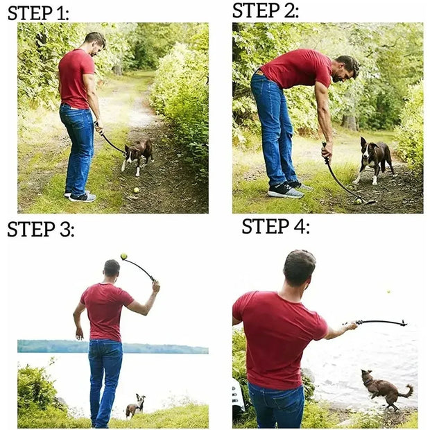 Dogs Training Pet Toys