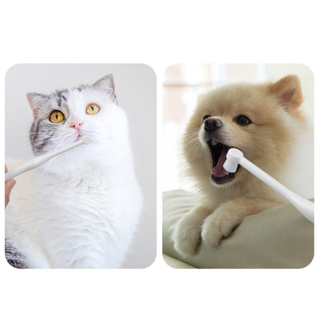 Pet Toothbrush for hygiene