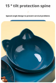 3-1 Pet Bowls With Water Feeder