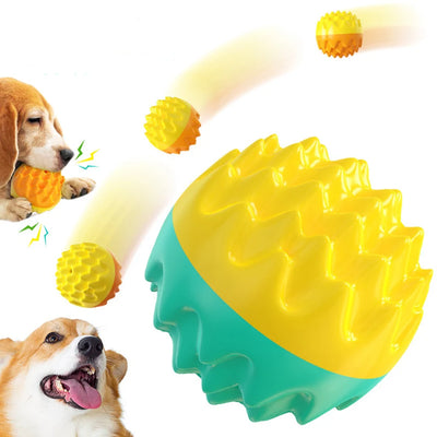Chewing and Sounding, Elastic Dog Toy Ball