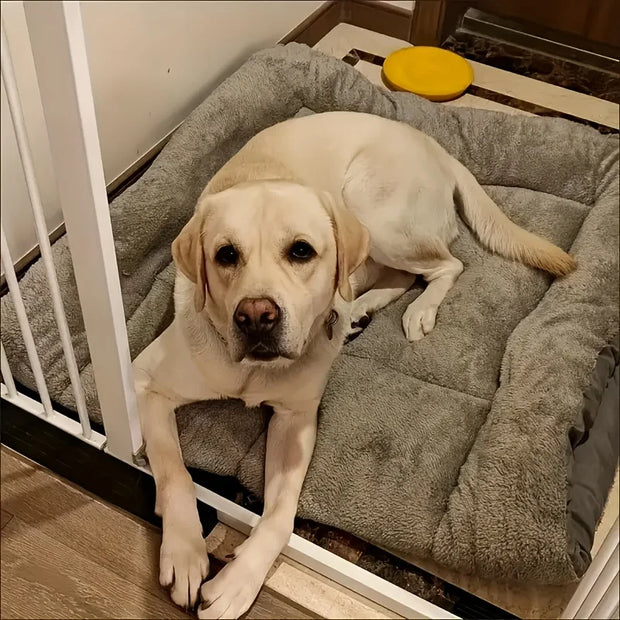 Dog Pet Sofa Beds Extra Large