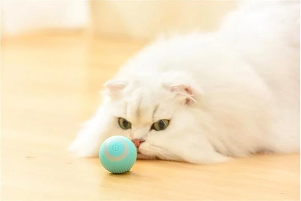 Auto Rolling Ball Puppy Toys