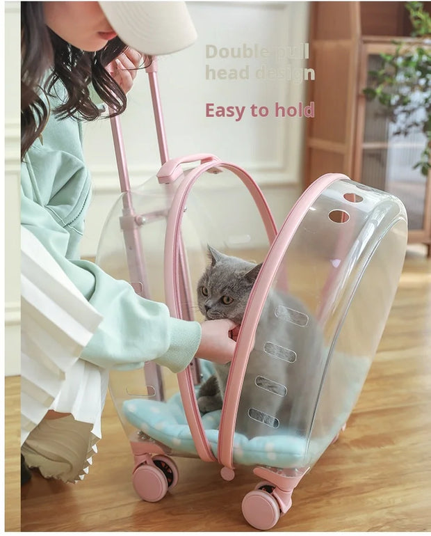 Portable Pet Carrier for Small