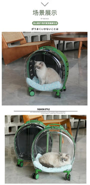 Portable Pet Carrier for Small