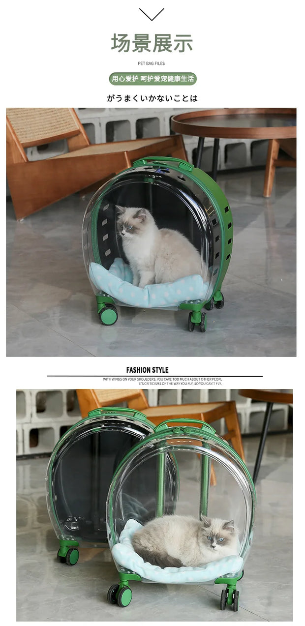 Portable Pet Carrier for Small