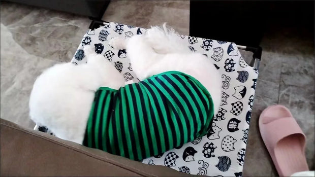 Portable Elevated Dog Bed Outdoor