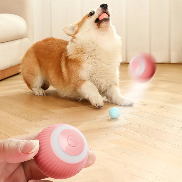 Auto Rolling Ball Puppy Toys