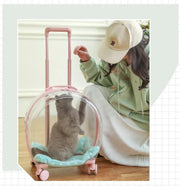 Portable Pet Carrier for Small