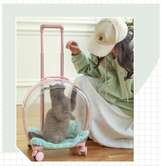 Portable Pet Carrier for Small