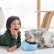 Pet Bowls Dog Food Water Feeder