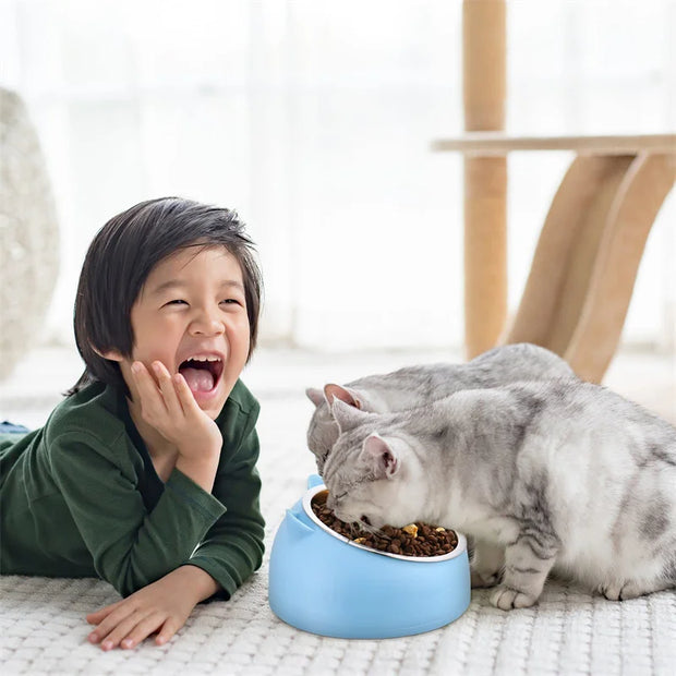 Pet Bowls Dog Food Water Feeder