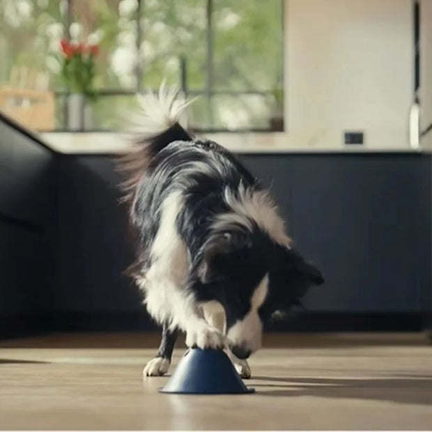 large dogs chewing toys