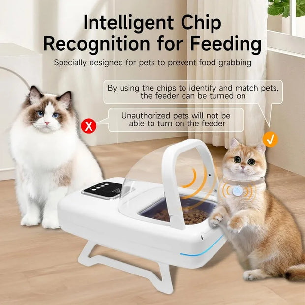 Automatic Pet Feeder with Collar Sensor