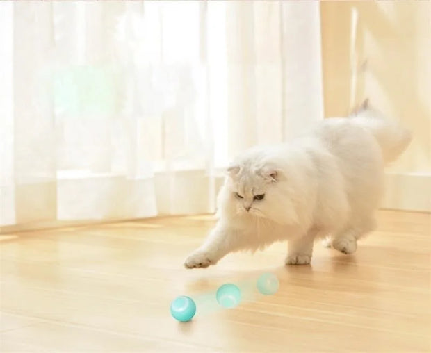 Auto Rolling Ball Puppy Toys