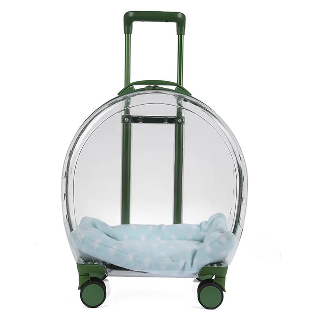 Portable Pet Carrier for Small