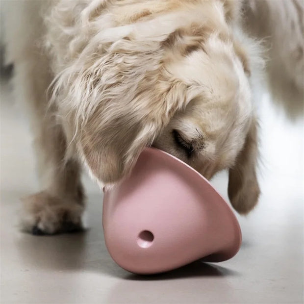 large dogs chewing toys