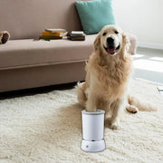 Pet Feet Washer Electrical