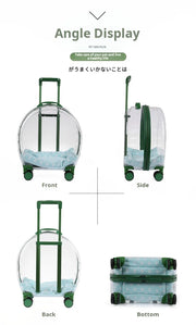 Portable Pet Carrier for Small