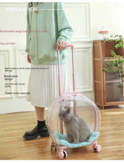 Portable Pet Carrier for Small