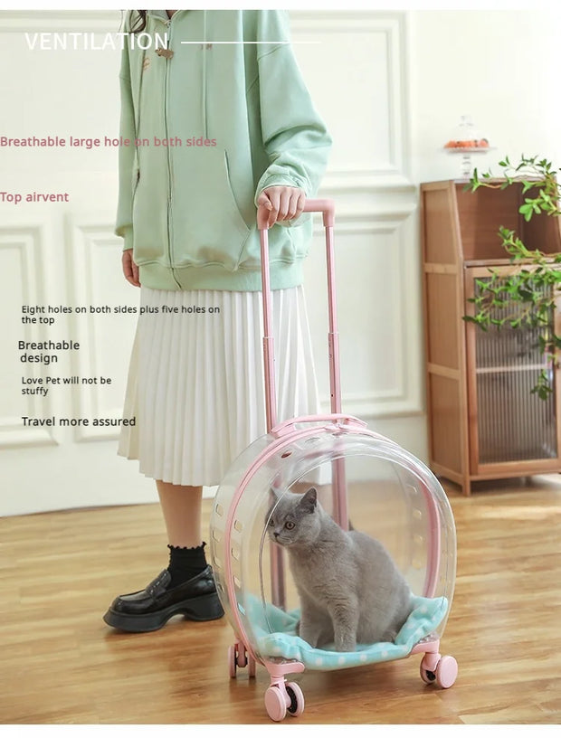 Portable Pet Carrier for Small