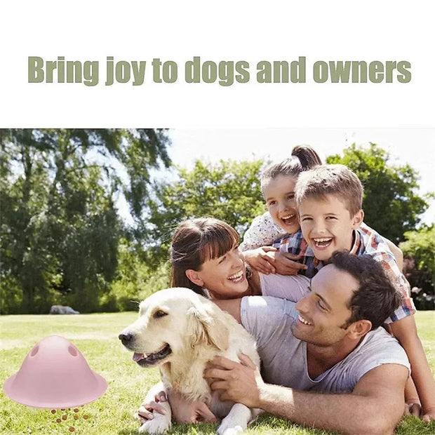 large dogs chewing toys