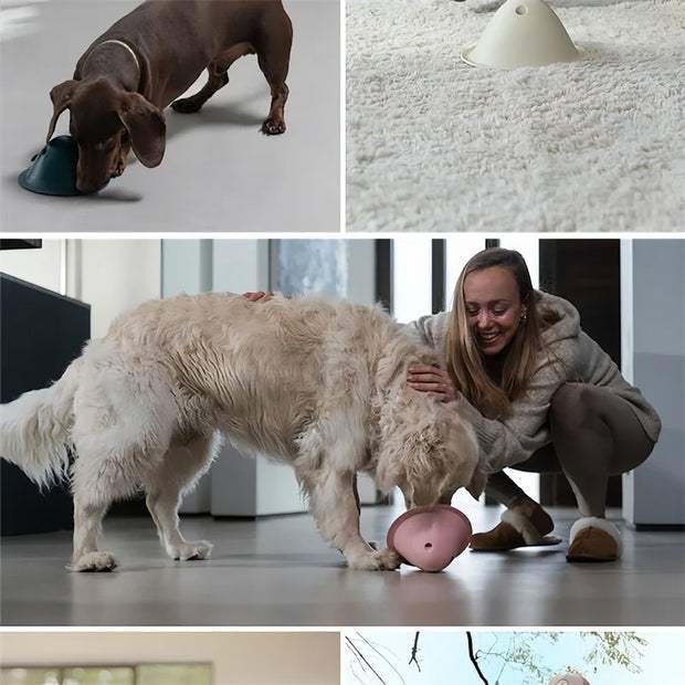 large dogs chewing toys
